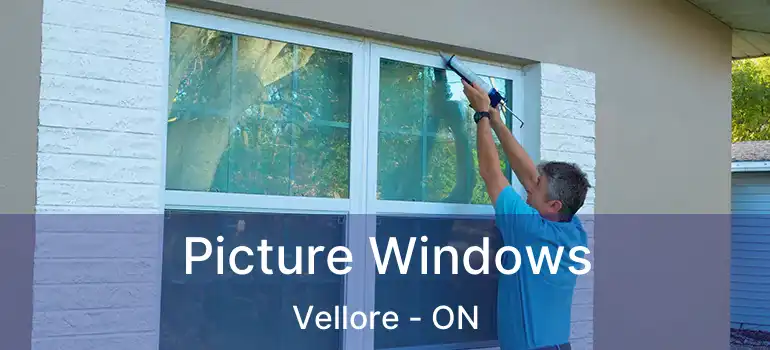  Picture Windows Vellore - ON
