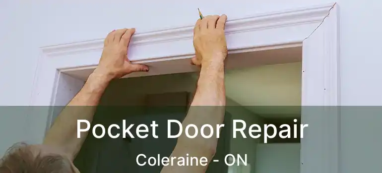  Pocket Door Repair Coleraine - ON