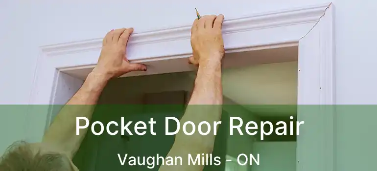  Pocket Door Repair Vaughan Mills - ON