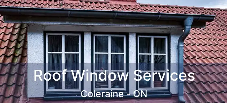  Roof Window Services Coleraine - ON
