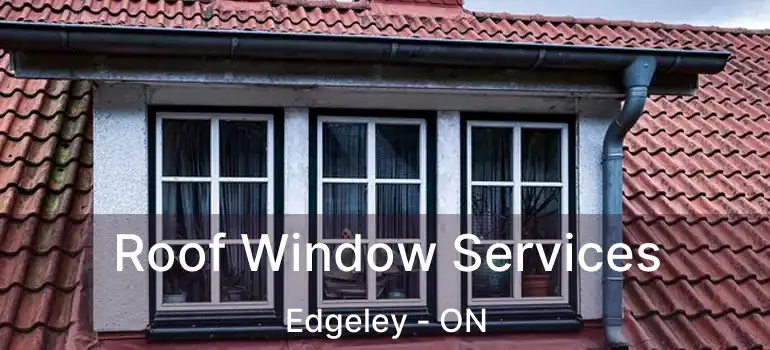  Roof Window Services Edgeley - ON