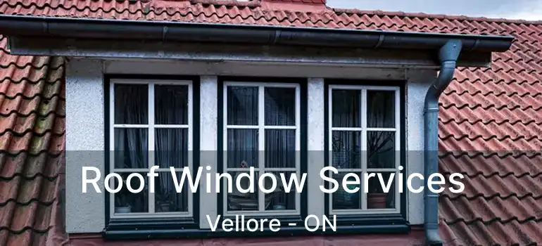 Roof Window Services Vellore - ON