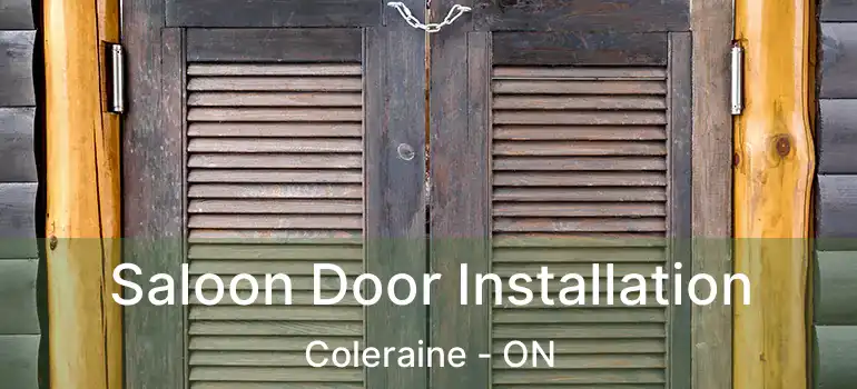 Saloon Door Installation Coleraine - ON