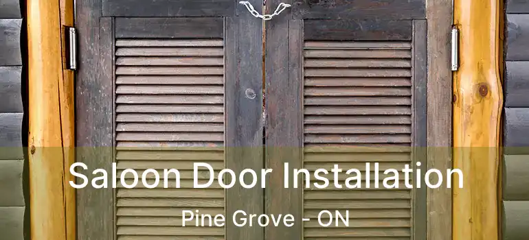Saloon Door Installation Pine Grove - ON