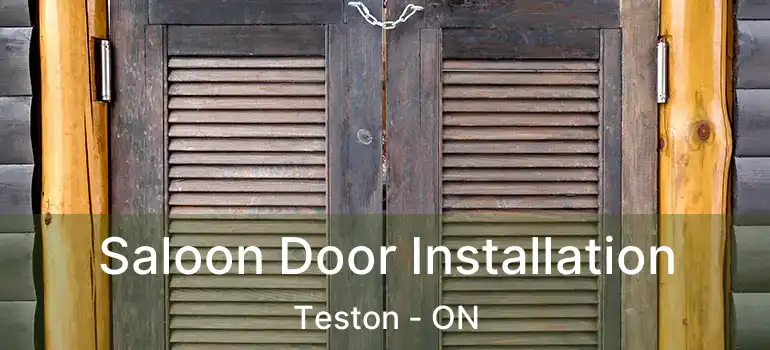  Saloon Door Installation Teston - ON