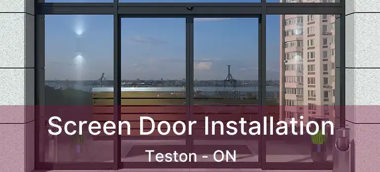  Screen Door Installation Teston - ON