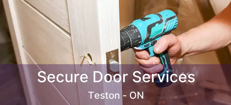  Secure Door Services Teston - ON