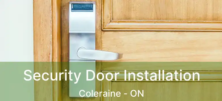  Security Door Installation Coleraine - ON