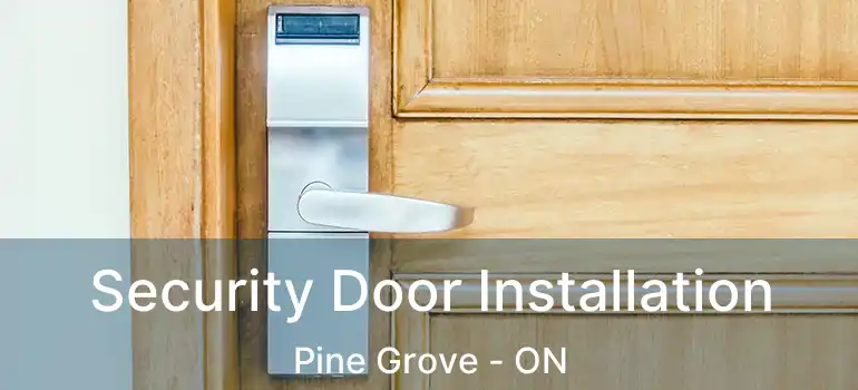  Security Door Installation Pine Grove - ON