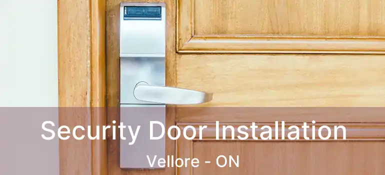  Security Door Installation Vellore - ON