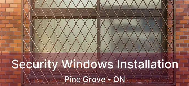 Security Windows Installation Pine Grove - ON