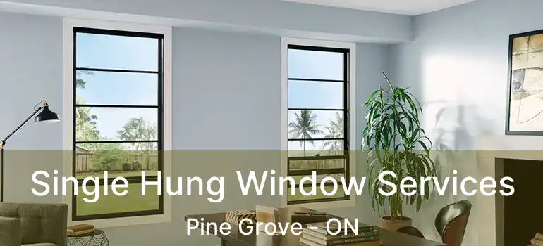  Single Hung Window Services Pine Grove - ON