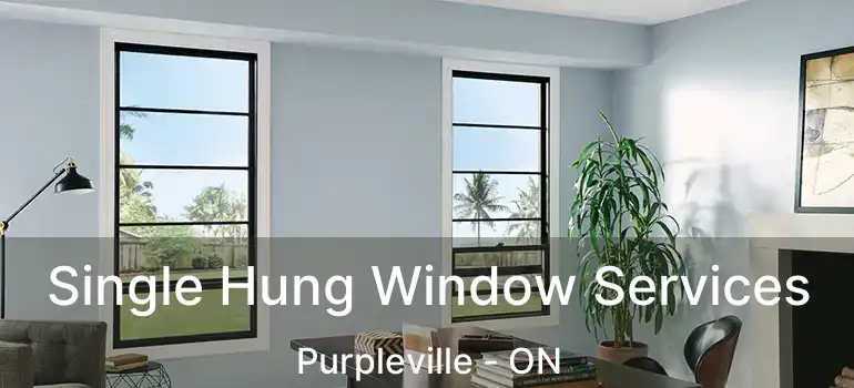  Single Hung Window Services Purpleville - ON