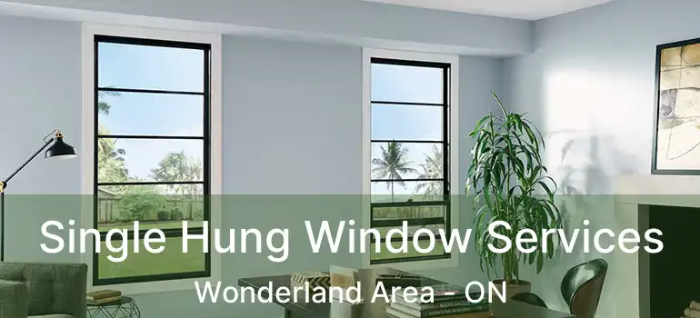  Single Hung Window Services Wonderland Area - ON
