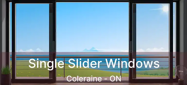  Single Slider Windows Coleraine - ON