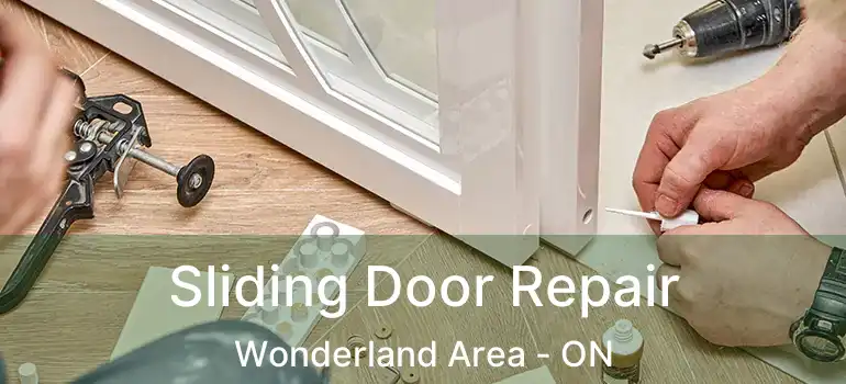 Sliding Door Repair Wonderland Area - ON