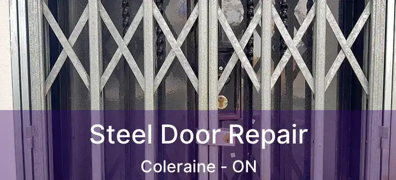 Steel Door Repair Coleraine - ON