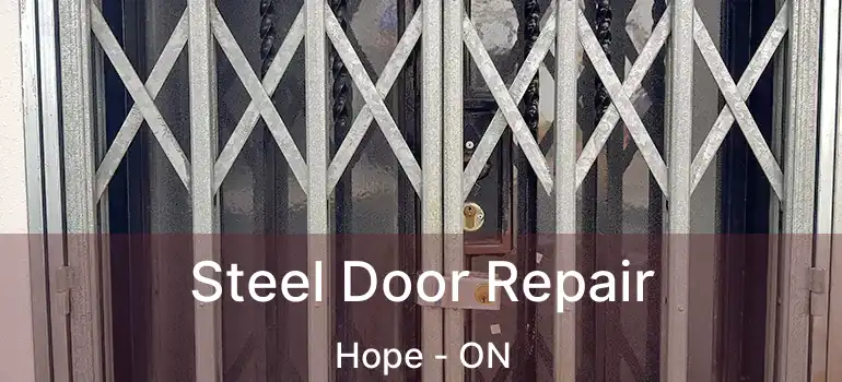Steel Door Repair Hope - ON