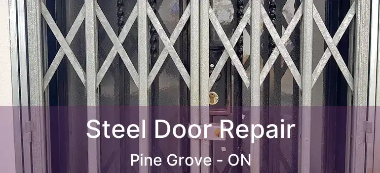 Steel Door Repair Pine Grove - ON
