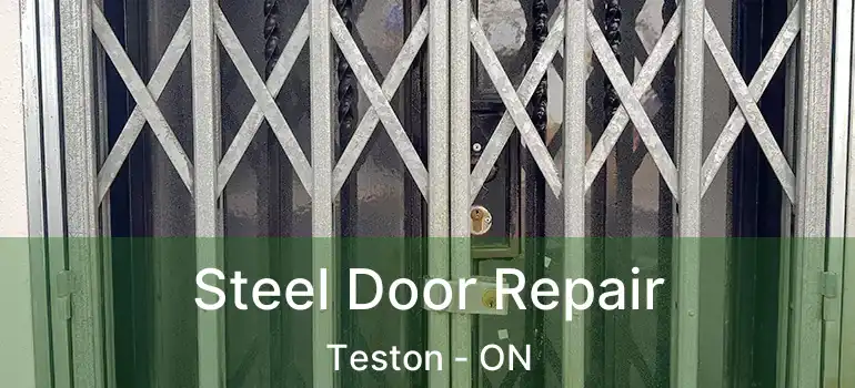 Steel Door Repair Teston - ON