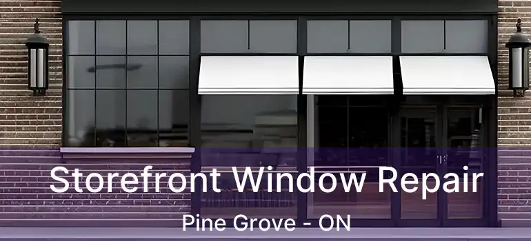  Storefront Window Repair Pine Grove - ON