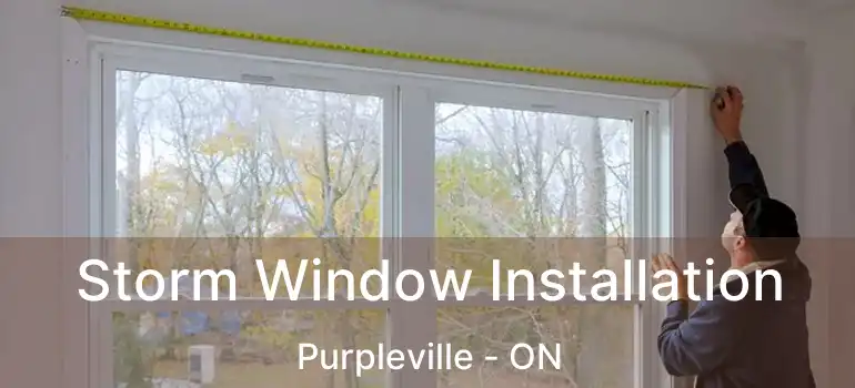  Storm Window Installation Purpleville - ON