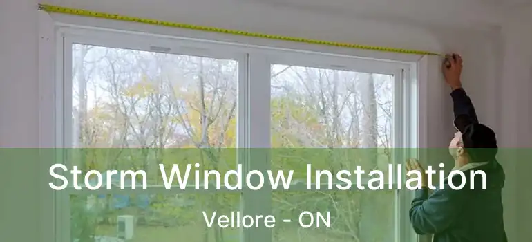  Storm Window Installation Vellore - ON