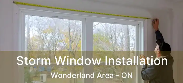  Storm Window Installation Wonderland Area - ON