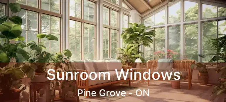 Sunroom Windows Pine Grove - ON