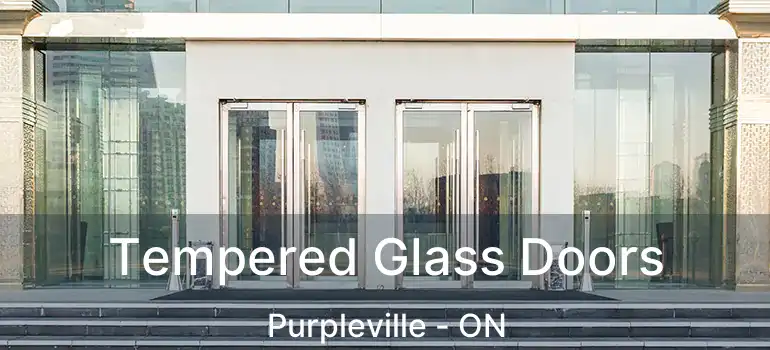  Tempered Glass Doors Purpleville - ON