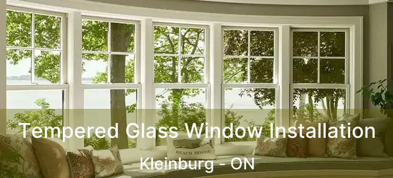  Tempered Glass Window Installation Kleinburg - ON