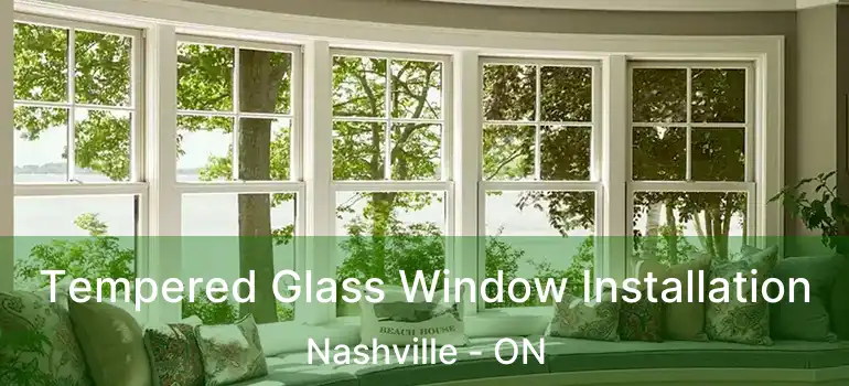  Tempered Glass Window Installation Nashville - ON