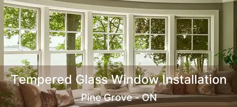  Tempered Glass Window Installation Pine Grove - ON