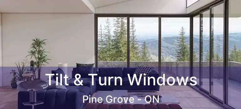  Tilt & Turn Windows Pine Grove - ON