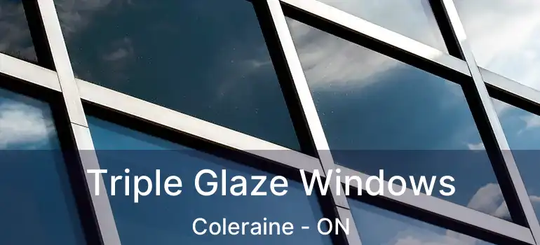  Triple Glaze Windows Coleraine - ON