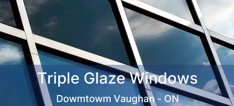 Triple Glaze Windows Dowmtowm Vaughan - ON