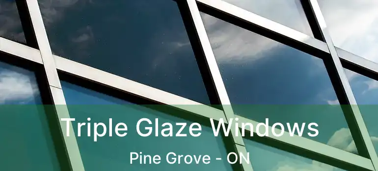  Triple Glaze Windows Pine Grove - ON