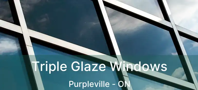  Triple Glaze Windows Purpleville - ON