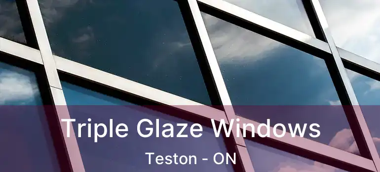 Triple Glaze Windows Teston - ON