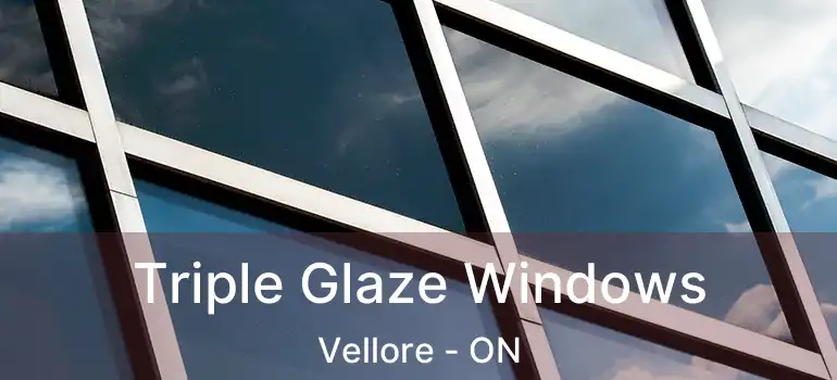  Triple Glaze Windows Vellore - ON