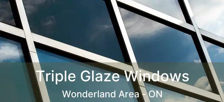 Triple Glaze Windows Wonderland Area - ON