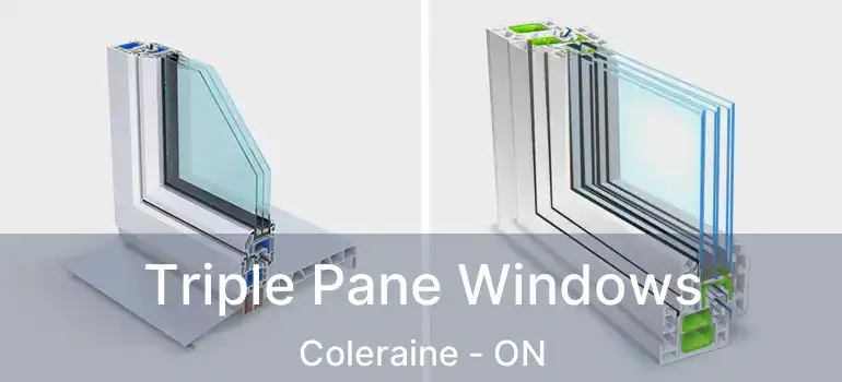  Triple Pane Windows Coleraine - ON