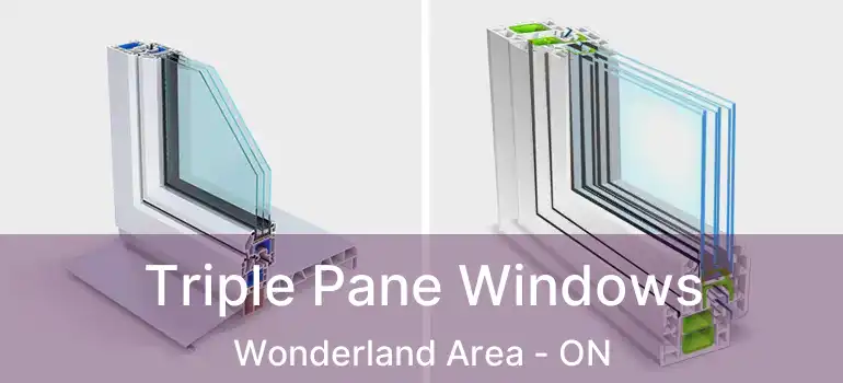  Triple Pane Windows Wonderland Area - ON