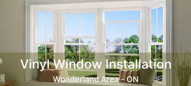  Vinyl Window Installation Wonderland Area - ON