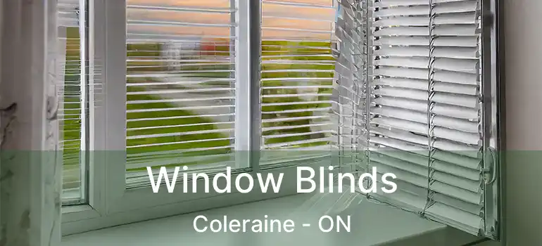  Window Blinds Coleraine - ON