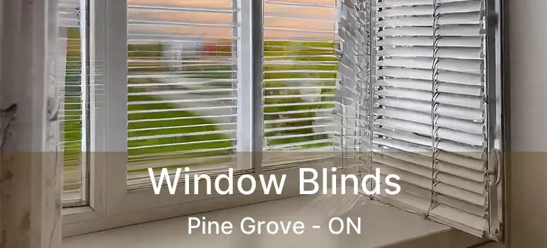  Window Blinds Pine Grove - ON