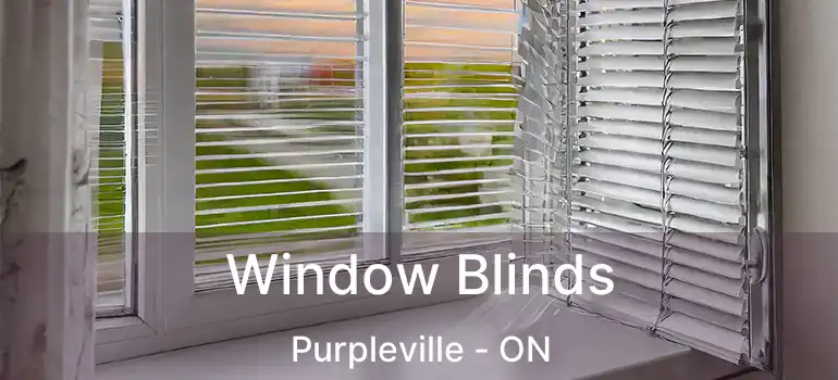  Window Blinds Purpleville - ON