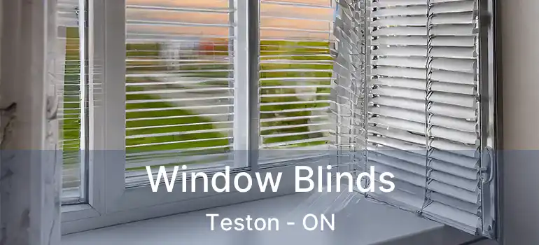  Window Blinds Teston - ON