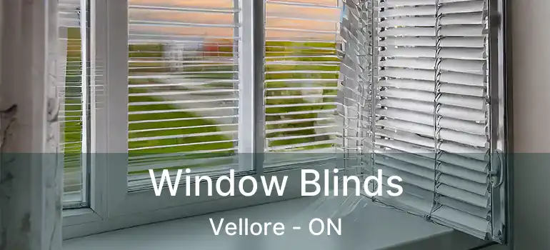  Window Blinds Vellore - ON