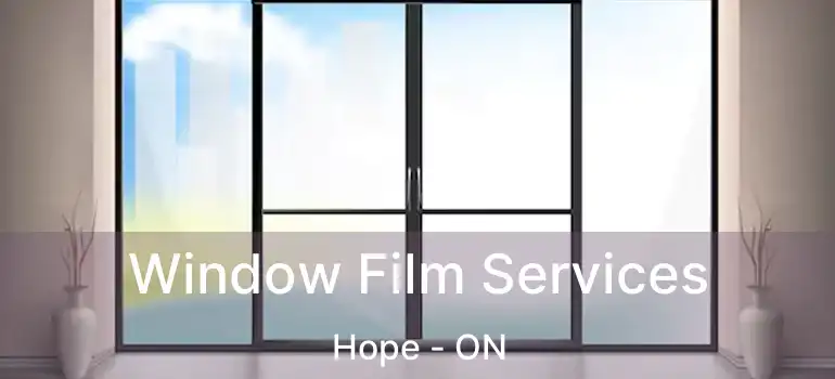  Window Film Services Hope - ON